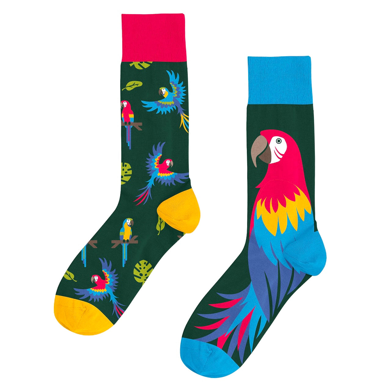 Calcetines Guacamayas